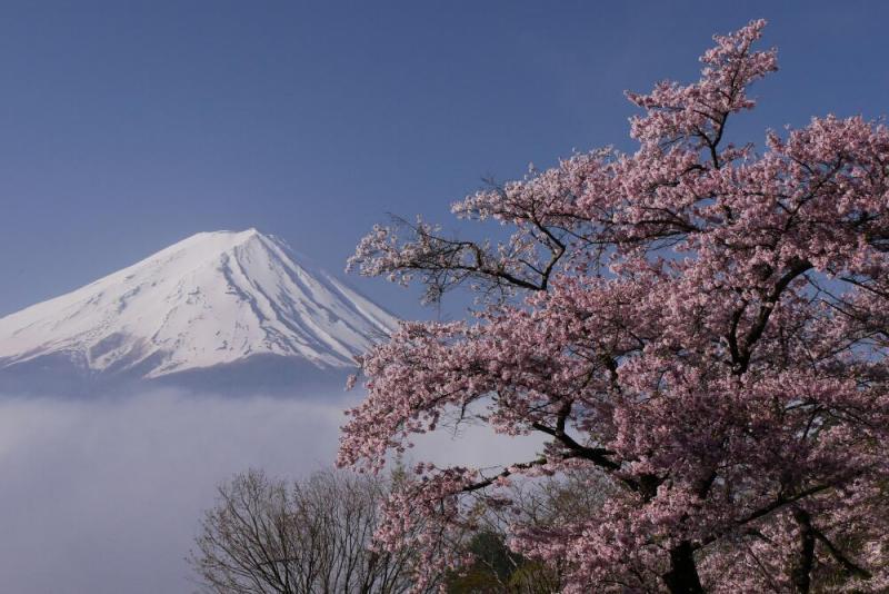 富士山画像作品