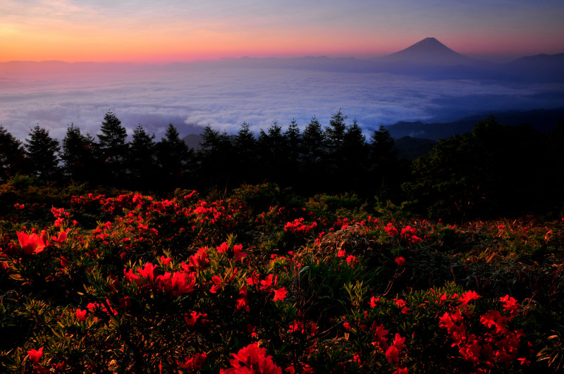 富士山画像作品