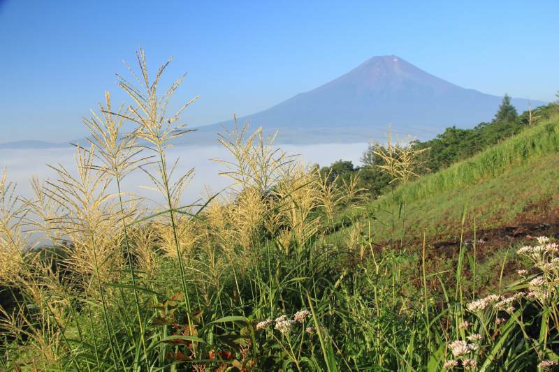 富士山画像記録