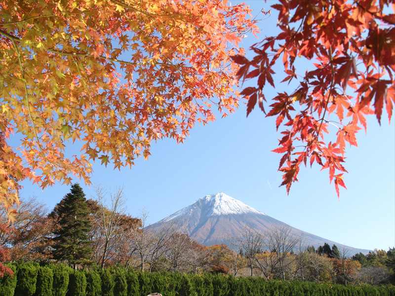 富士山画像記録