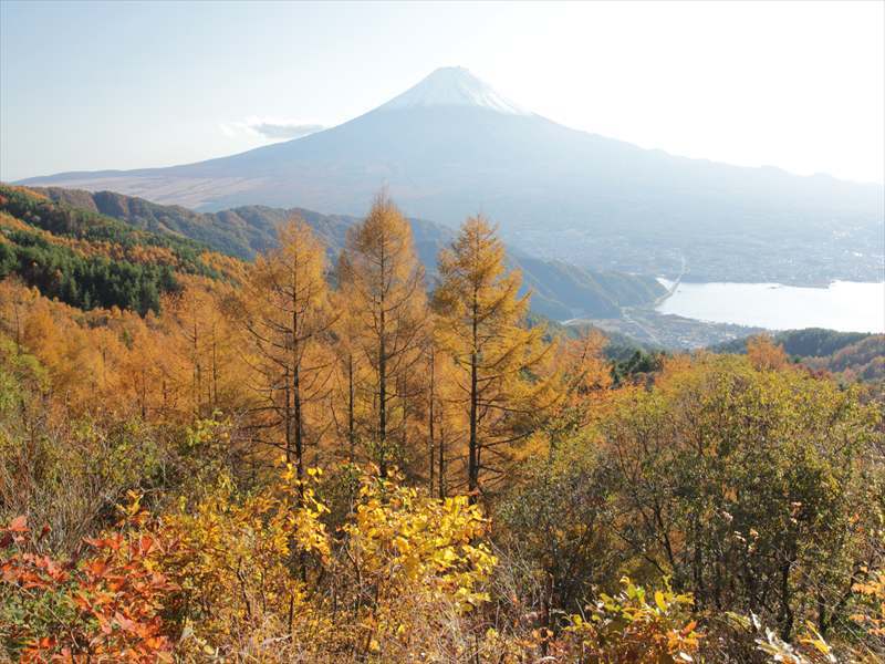 富士山画像記録