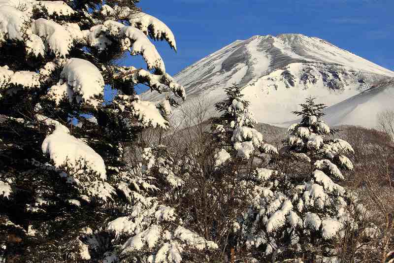 富士山画像記録