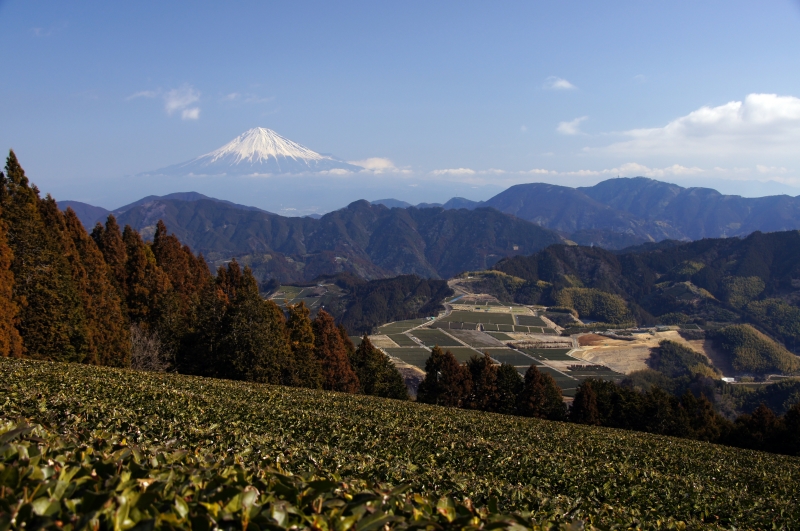 富士山画像作品