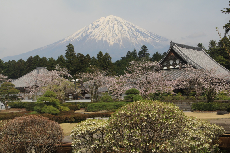 富士山画像記録