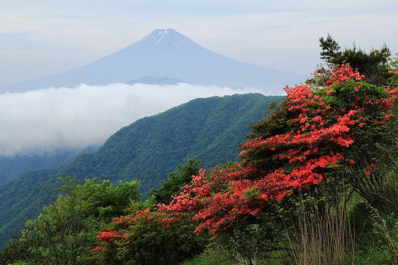 富士山画像記録