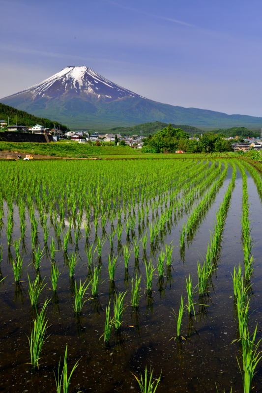 富士山画像作品