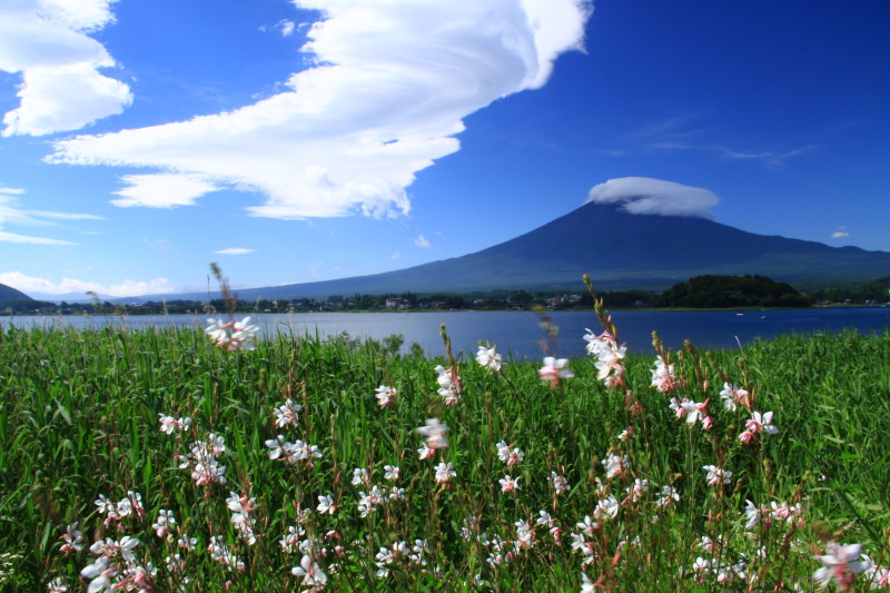 富士山画像記録