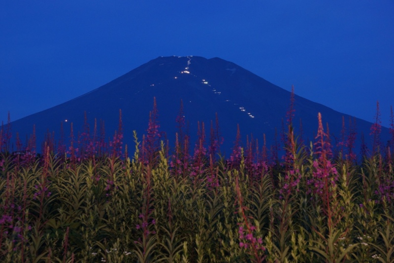 富士山画像記録