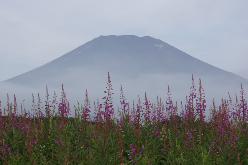 富士山画像作品