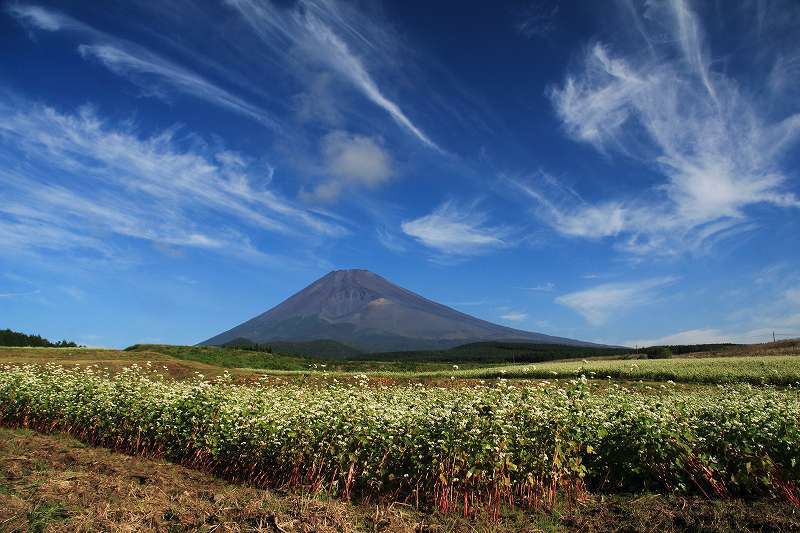 富士山画像記録