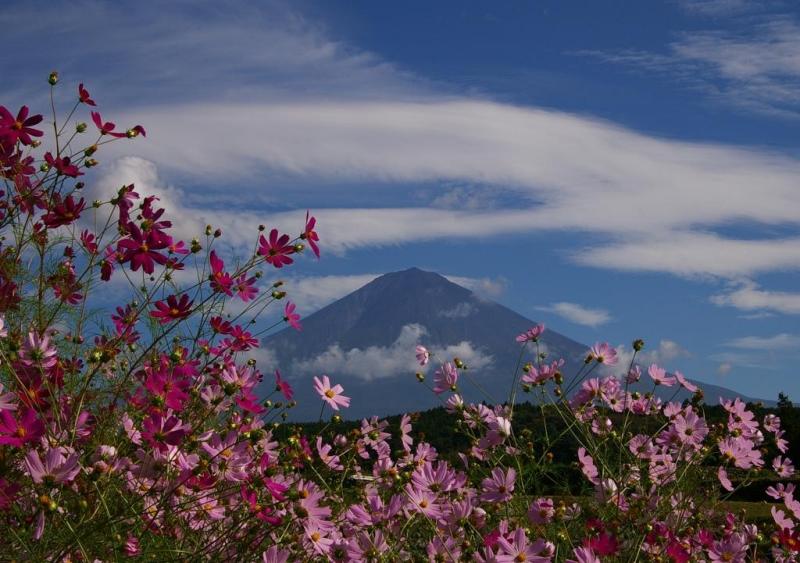 富士山画像作品