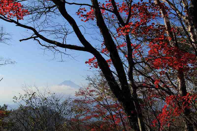 富士山画像記録