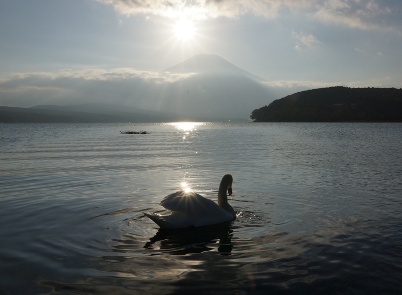 富士山画像記録