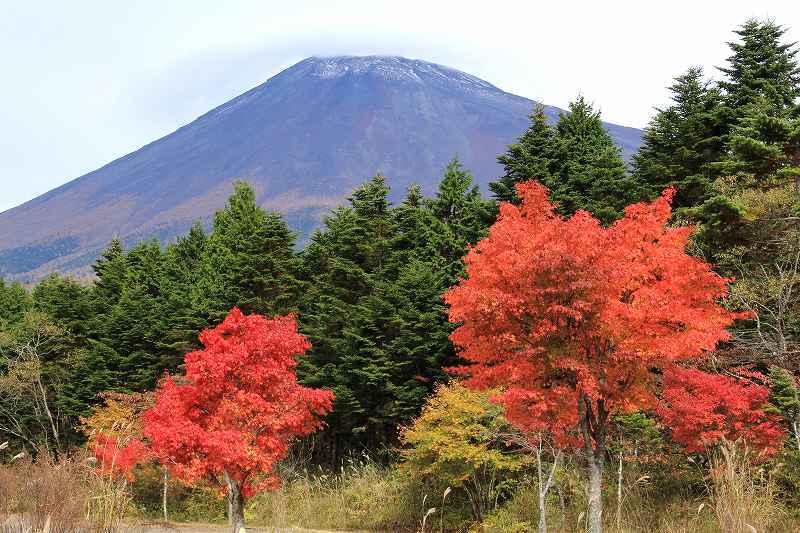 富士山画像記録