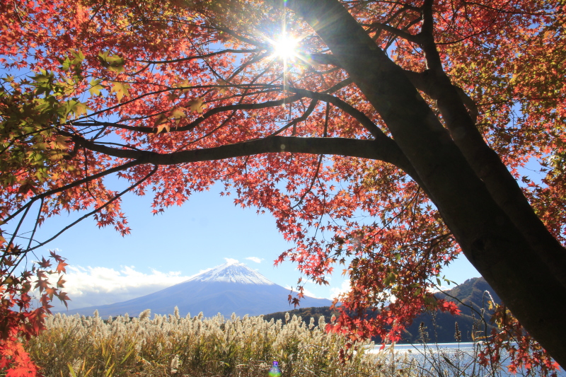 富士山画像記録