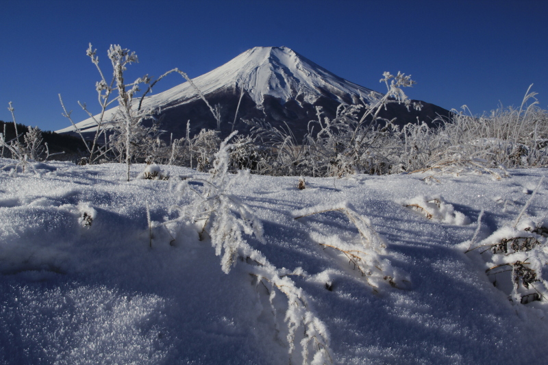 富士山画像記録