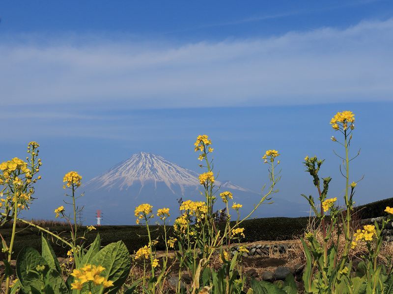 富士山画像記録