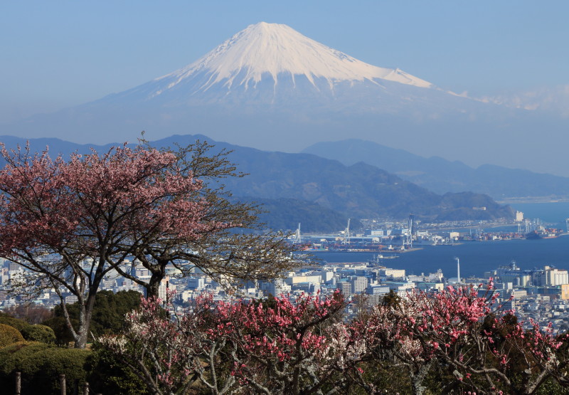 富士山画像記録