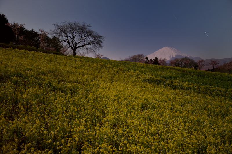 富士山画像作品