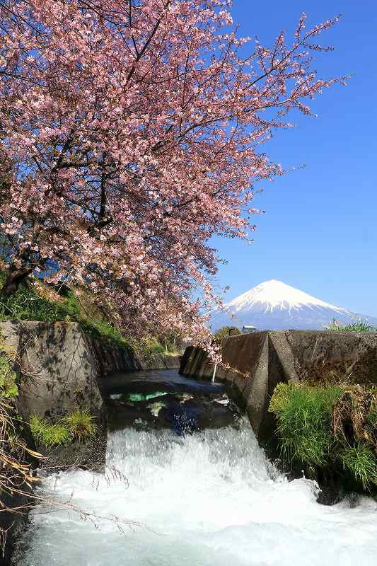 富士山画像記録
