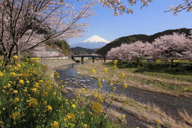 富士山画像記録