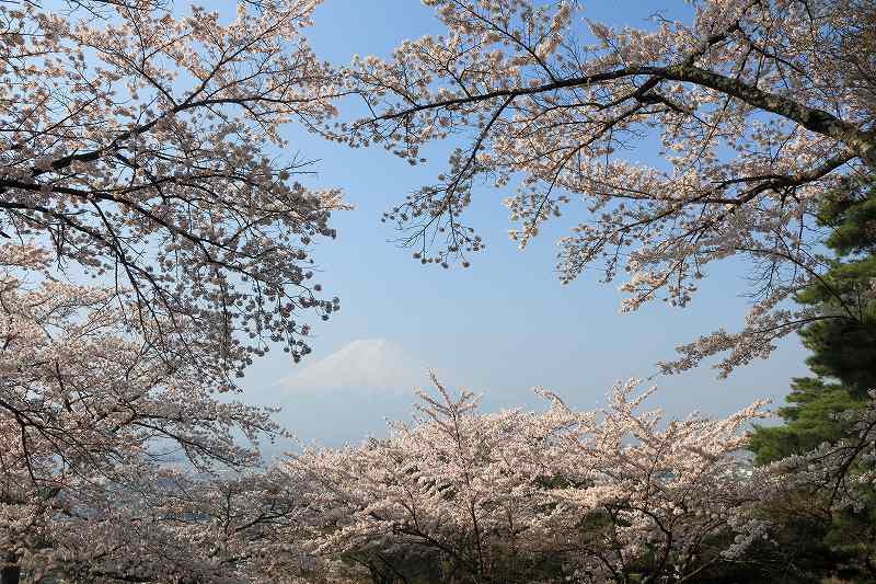 富士山画像記録