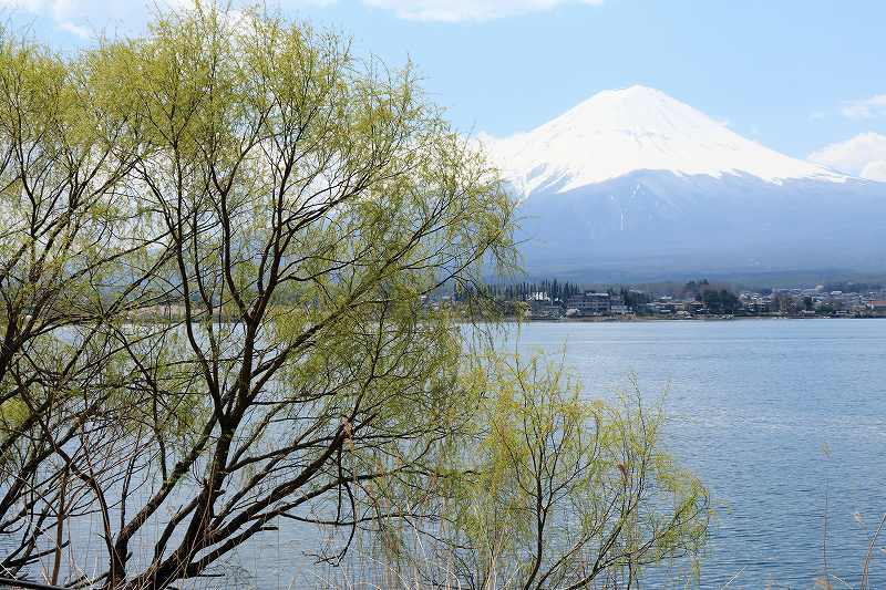 富士山画像記録
