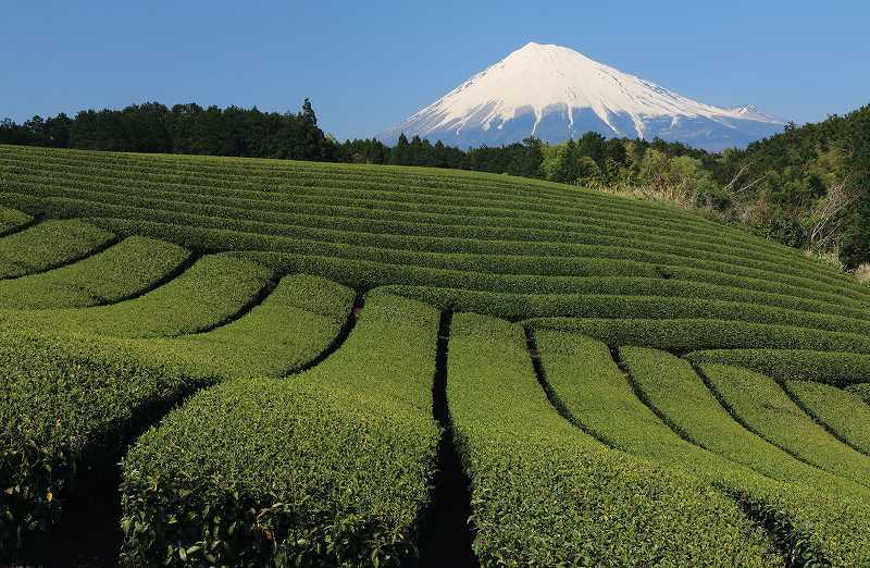 富士山画像記録