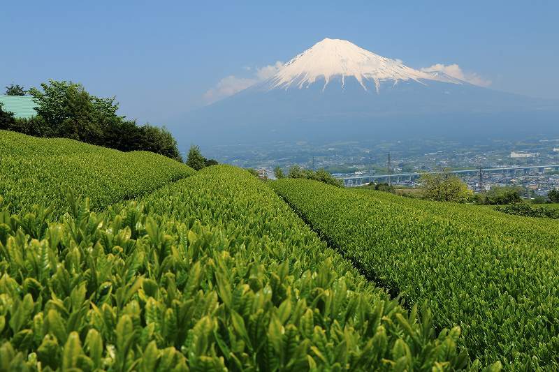 富士山画像記録