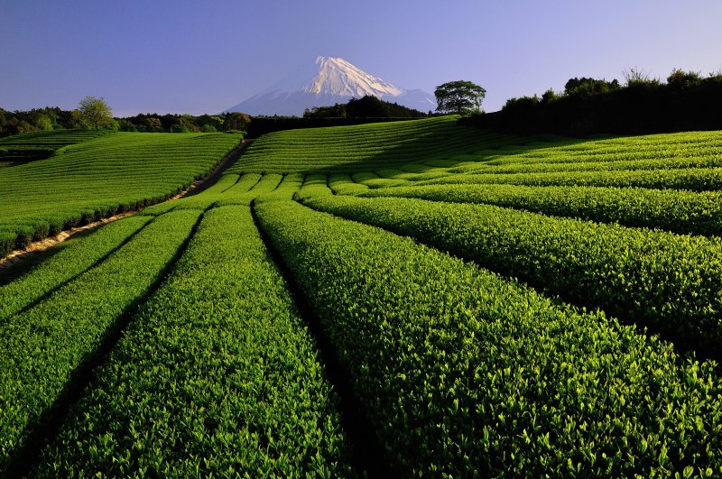 富士山画像作品