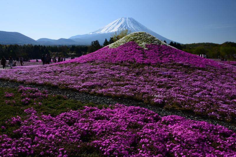 富士山画像記録