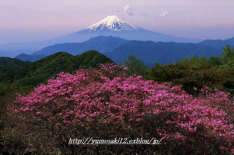 富士山画像記録