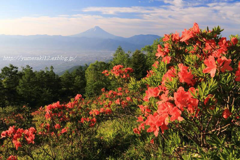 富士山画像記録