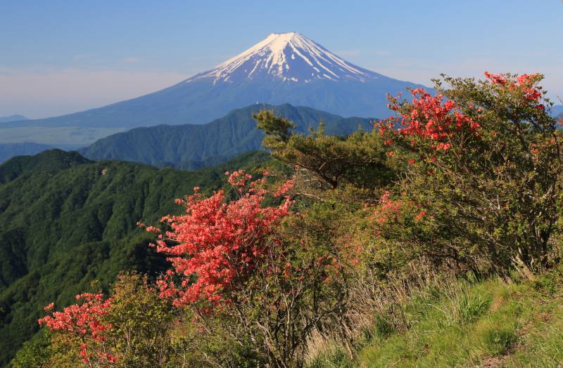 富士山画像記録