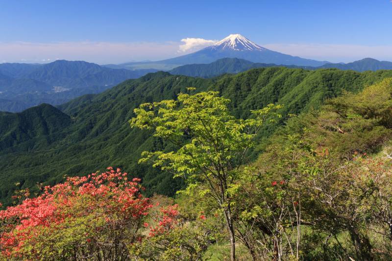 富士山画像記録