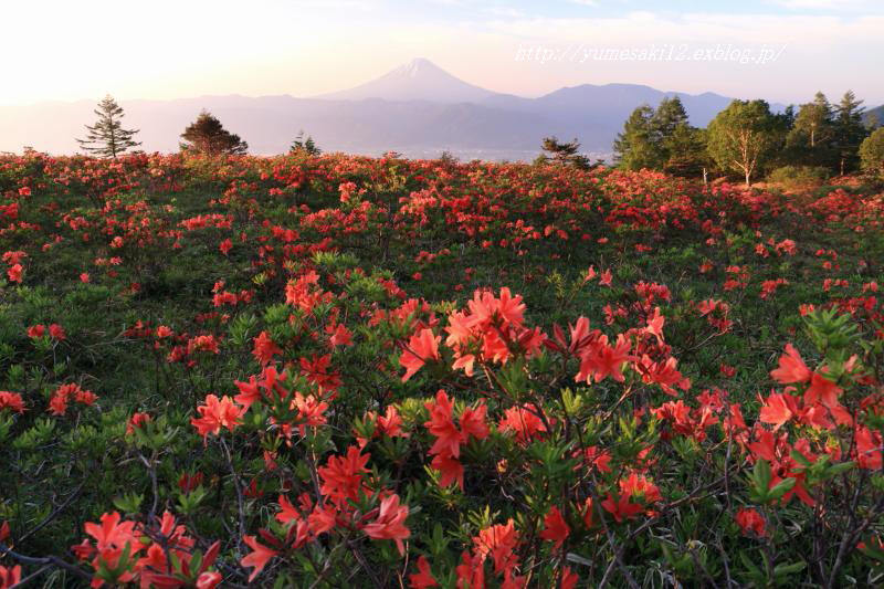 富士山画像記録