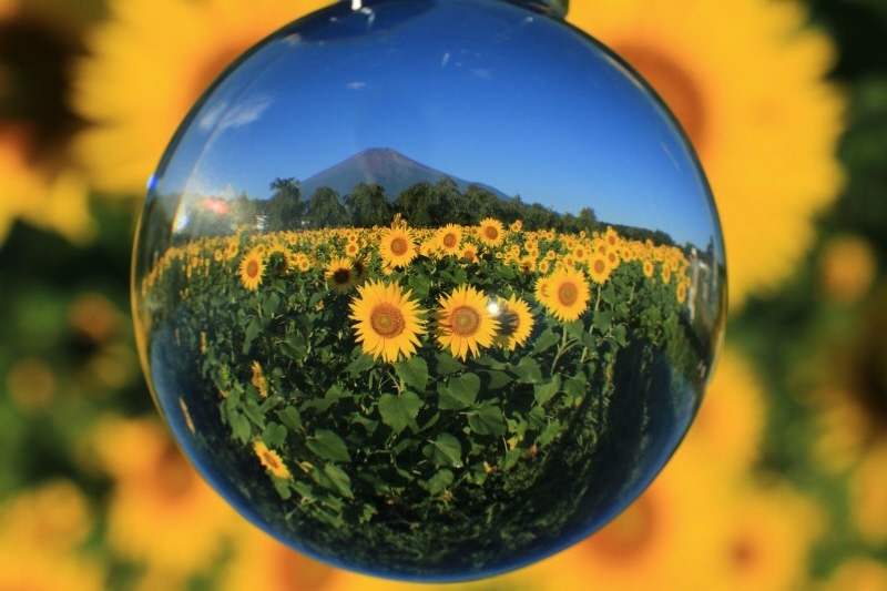 富士山画像記録