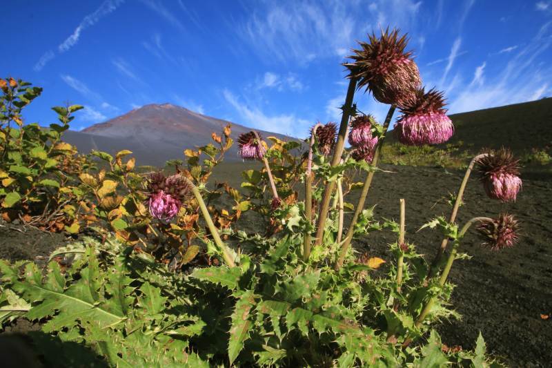 富士山画像記録