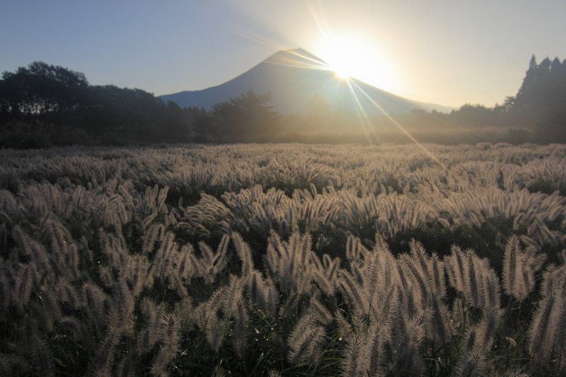 富士山画像記録