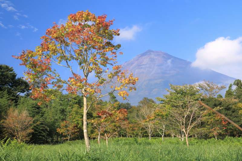 富士山画像記録