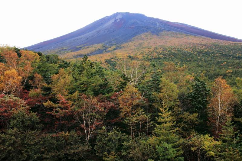富士山画像記録