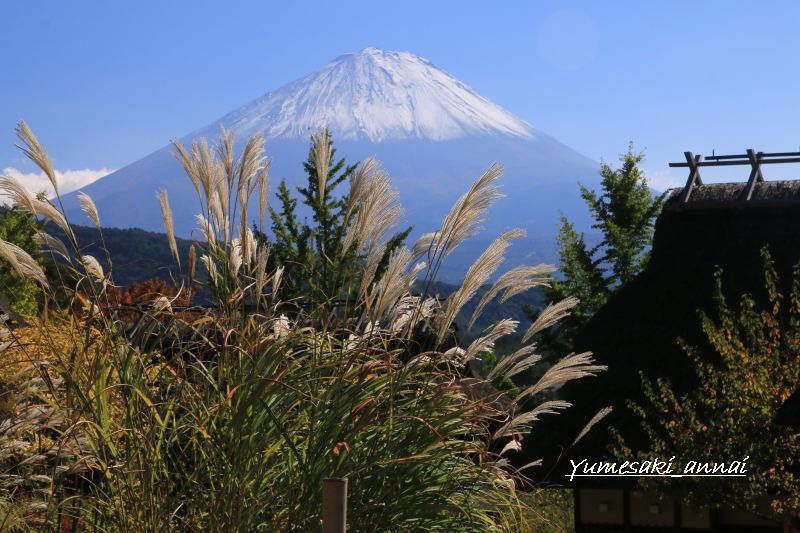 富士山画像記録