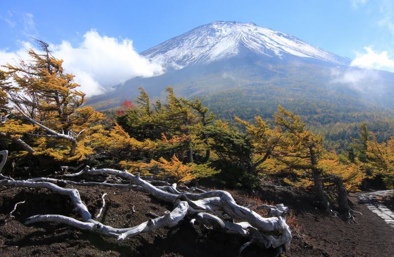 富士山画像記録