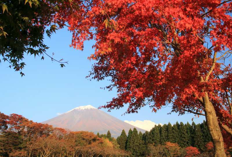 富士山画像記録