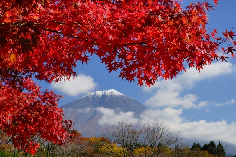 富士山画像作品