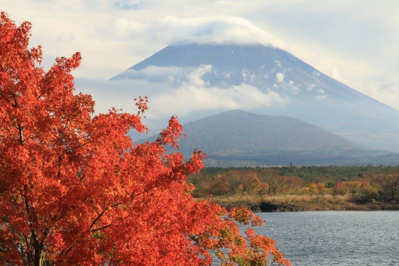 富士山画像記録