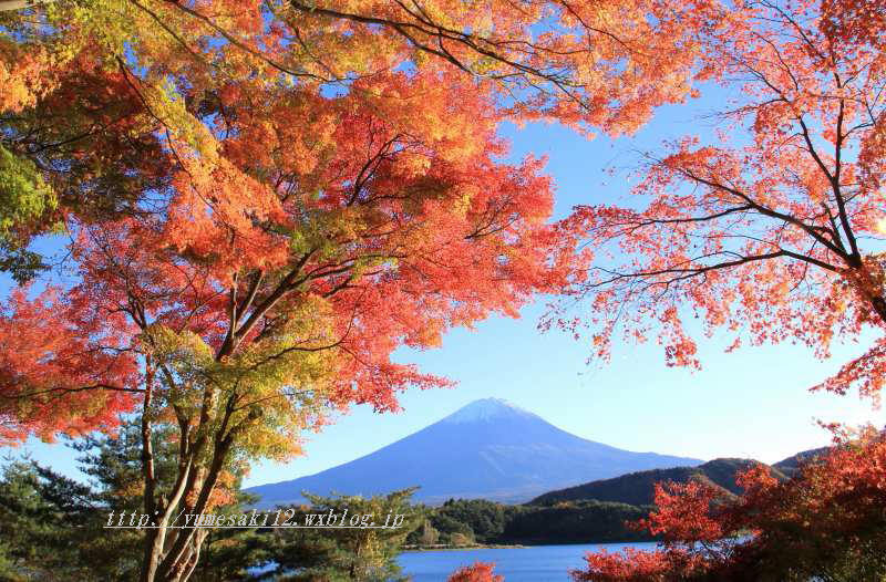 富士山画像記録