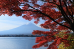 富士山画像作品
