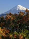 富士山画像作品