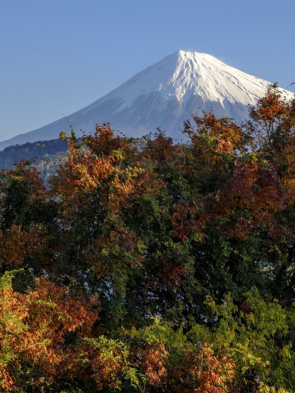 富士山画像作品